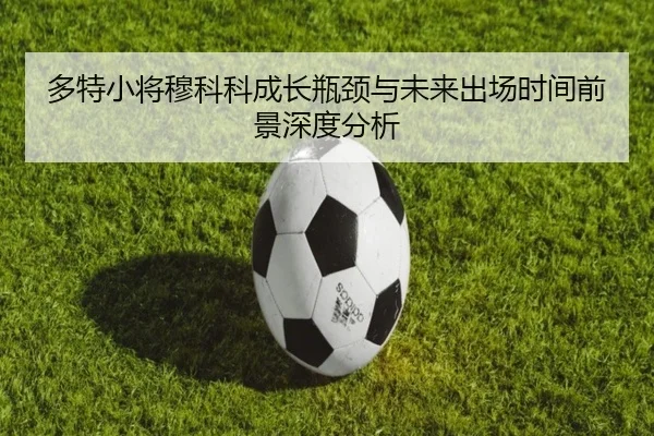 多特小将穆科科成长瓶颈与未来出场时间前景深度分析（aoko）