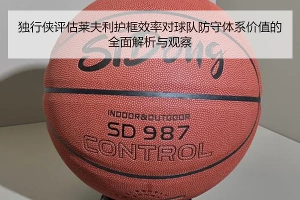 独行侠评估莱夫利护框效率对球队防守体系价值的全面解析与观察
